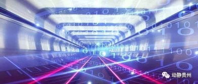 貴州獲批建設貴陽-貴安國際互聯網數據專用通道，互聯網數據服務迎來新機遇